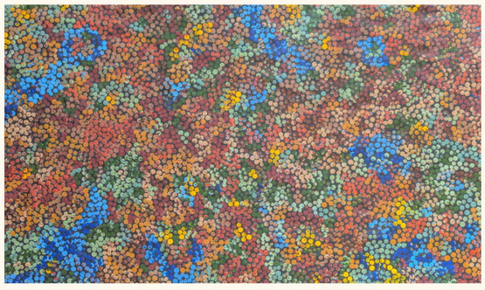 You Are On Aboriginal Land saree - Image 2